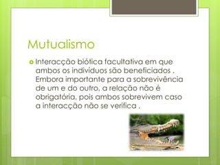 Mutualismo
 Interacção biótica facultativa em que
ambos os indivíduos são beneficiados .
Embora importante para a sobrevivência
de um e do outro, a relação não é
obrigatória, pois ambos sobrevivem caso
a interacção não se verifica .
 