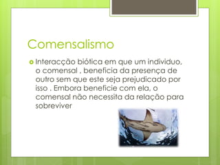 Comensalismo
 Interacção biótica em que um individuo,
o comensal , beneficia da presença de
outro sem que este seja prejudicado por
isso . Embora beneficie com ela, o
comensal não necessita da relação para
sobreviver
 