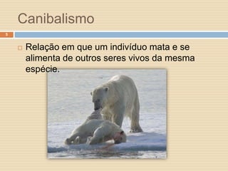 Canibalismo
5



Relação em que um indivíduo mata e se
alimenta de outros seres vivos da mesma
espécie.

 