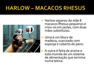    Harlow separou da mãe 8
    macacos Rhesus pequenos e
    criou-os em jaulas, com duas
    mães substitutas.
   Uma é um bloco de
    madeira, suavizado com
    esponja e coberto de pano.
   A outra é feita de arame e
    está munida de um sistema
    de alimentação que termina
    numa tetina.
 