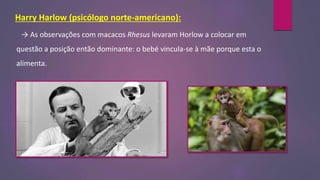 Harry Harlow (psicólogo norte-americano):
→ As observações com macacos Rhesus levaram Horlow a colocar em
questão a posição então dominante: o bebé vincula-se à mãe porque esta o
alimenta.
 