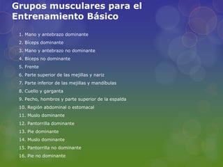 Grupos musculares para el
Entrenamiento Básico
1. Mano y antebrazo dominante
2. Bíceps dominante
3. Mano y antebrazo no dominante
4. Bíceps no dominante
5. Frente
6. Parte superior de las mejillas y nariz
7. Parte inferior de las mejillas y mandíbulas
8. Cuello y garganta
9. Pecho, hombros y parte superior de la espalda
10. Región abdominal o estomacal
11. Muslo dominante
12. Pantorrilla dominante
13. Pie dominante
14. Muslo dominante
15. Pantorrilla no dominante
16. Pie no dominante
 