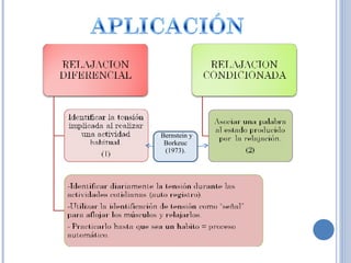 ( Bernstein y Borkeuc (1973). 