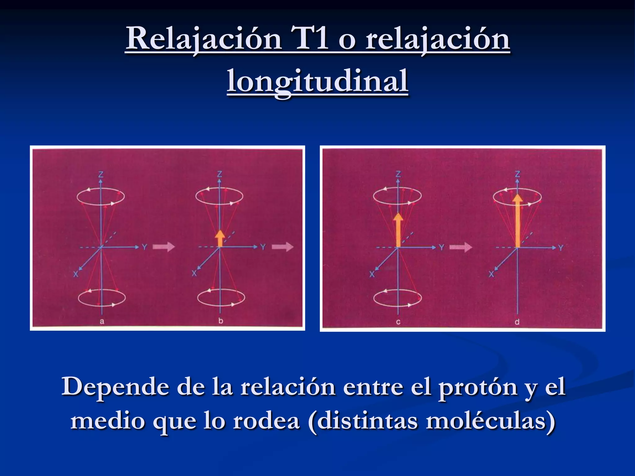 Relajación T1 o relajación
            longitudinal




Depende de la relación entre el protón y el
medio que lo rodea (distintas moléculas)
 