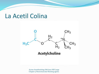 La Acetil Colina 
Access Anesthesiology McGraw-Hill Lange 
Chapter 9 Neuromuscular blocking agents. 
 