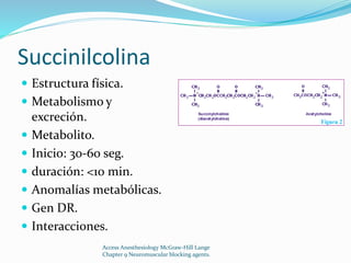 Succinilcolina 
 Estructura física. 
 Metabolismo y 
excreción. 
 Metabolito. 
 Inicio: 30-60 seg. 
 duración: <10 min. 
 Anomalías metabólicas. 
 Gen DR. 
 Interacciones. 
Access Anesthesiology McGraw-Hill Lange 
Chapter 9 Neuromuscular blocking agents. 
 
