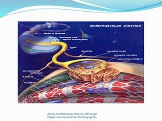 Access Anesthesiology McGraw-Hill Lange 
Chapter 9 Neuromuscular blocking agents. 
 