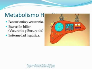 Metabolismo Hepático 
 Pancurionio y vecuronio. 
 Excreción biliar 
(Vecuronio y Rocuronio) 
 Enfermedad hepática. 
Access Anesthesiology McGraw-Hill Lange 
Chapter 9 Neuromuscular blocking agents. 
 