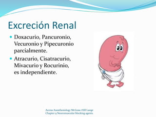 Excreción Renal 
 Doxacurio, Pancuronio, 
Vecuronio y Pipecuronio 
parcialmente. 
 Atracurio, Cisatracurio, 
Mivacurio y Rocurinio, 
es independiente. 
Access Anesthesiology McGraw-Hill Lange 
Chapter 9 Neuromuscular blocking agents. 
 