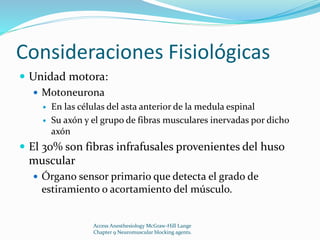 Consideraciones Fisiológicas 
 Unidad motora: 
 Motoneurona 
 En las células del asta anterior de la medula espinal 
 Su axón y el grupo de fibras musculares inervadas por dicho 
axón 
 El 30% son fibras infrafusales provenientes del huso 
muscular 
 Órgano sensor primario que detecta el grado de 
estiramiento o acortamiento del músculo. 
Access Anesthesiology McGraw-Hill Lange 
Chapter 9 Neuromuscular blocking agents. 
 