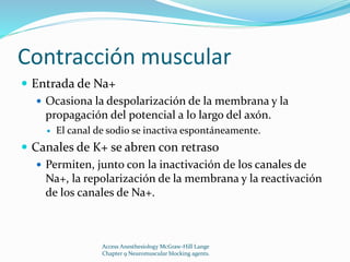 Contracción muscular 
 Entrada de Na+ 
 Ocasiona la despolarización de la membrana y la 
propagación del potencial a lo largo del axón. 
 El canal de sodio se inactiva espontáneamente. 
 Canales de K+ se abren con retraso 
 Permiten, junto con la inactivación de los canales de 
Na+, la repolarización de la membrana y la reactivación 
de los canales de Na+. 
Access Anesthesiology McGraw-Hill Lange 
Chapter 9 Neuromuscular blocking agents. 
 