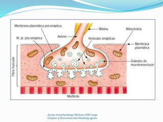 Access Anesthesiology McGraw-Hill Lange 
Chapter 9 Neuromuscular blocking agents. 
 