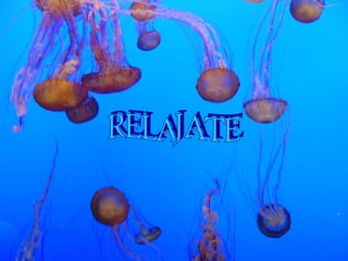 RELAJATE 
