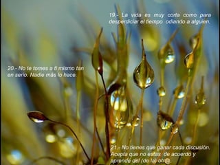 19.- La vida es muy corta como para desperdiciar el tiempo  odiando a alguien.20.- No te tomes a ti mismo tan en serio. Nadie más lo hace.21.- No tienes que ganar cada discusión. Acepta que no estas  de acuerdo y aprende del (de la) otr@.