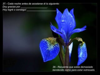 37.- Cada noche antes de acostarse di lo siguiente:  Doy gracias por ___________________.Hoy logré o conseguí _____________________. 38.- Recuerda que estás demasiado bendecido como para estar estresado.