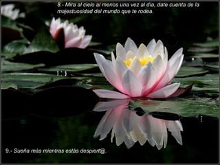 8.- Mira al cielo al menos una vez al día, date cuenta de la majestuosidad del mundo que te rodea. 9.- Sueña más mientras estás despiert@.