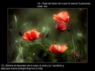 12.- Trata de hacer reír a por lo menos 3 personas cada  día.13.- Elimina el desorden de tu casa, tu auto y tu  escritorio y deja que nueva energía fluya en tu vida.