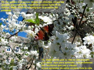 14.- No gastes tu precioso tiempo en chismes, cosas del pasado, pensamientos negativos o cosas fuera de tu control.  Mejor invierte tu energía en lo positivo del presente.15.- Date cuenta que la vida es una escuela y tú estás  aquí para aprender. Los problemas son lecciones que van y vienen,lo que aprendes de estos es para toda la vida.