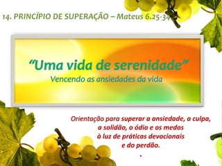 14. PRINCÍPIO DE SUPERAÇÃO – Mateus 6.25-34“Uma vida de serenidade”Vencendo as ansiedades da vidaOrientação para superar a ansiedade, a culpa, a solidão, o ódio e os medos à luz de práticas devocionais                                           e do perdão..