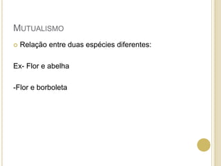 MUTUALISMO
 Relação entre duas espécies diferentes:
Ex- Flor e abelha
-Flor e borboleta
 