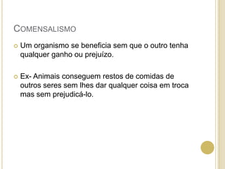 COMENSALISMO
 Um organismo se beneficia sem que o outro tenha
qualquer ganho ou prejuízo.
 Ex- Animais conseguem restos de comidas de
outros seres sem lhes dar qualquer coisa em troca
mas sem prejudicá-lo.
 