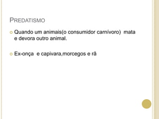 PREDATISMO
 Quando um animais(o consumidor carnívoro) mata
e devora outro animal.
 Ex-onça e capivara,morcegos e rã
 