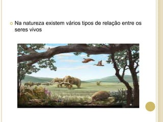  Na natureza existem vários tipos de relação entre os
seres vivos
 