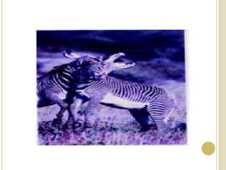 Relação entre os seres vivos