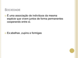 SOCIEDADE
 É uma associação de indivíduos da mesma
espécie que vivem juntos de forma permanentes
cooperando entre si.
 Ex:abelhas ,cupins e formigas
 