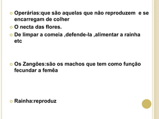  Operárias:que são aquelas que não reproduzem e se
encarregam de colher
 O necta das flores.
 De limpar a comeia ,defende-la ,alimentar a rainha
etc
 Os Zangões:são os machos que tem como função
fecundar a femêa
 Rainha:reproduz
 
