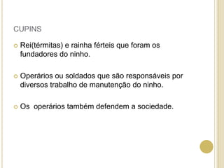 CUPINS
 Rei(térmitas) e rainha férteis que foram os
fundadores do ninho.
 Operários ou soldados que são responsáveis por
diversos trabalho de manutenção do ninho.
 Os operários também defendem a sociedade.
 