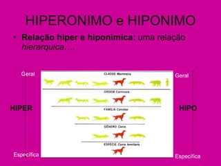 HIPERONIMO e HIPONIMO Relação hiper e hiponimica:  uma relação  hierarquica …. Geral Específica Geral Específica HIPER   HIPO 
