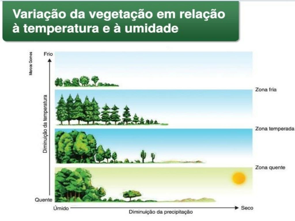 Clima Relevo E Vegetação - NAZAEDU