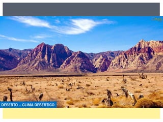 DESERTO – CLIMA DESÉRTICO 
 