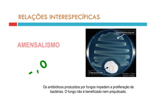 RELAÇÕES INTERESPECÍFICAS



AMENSALISMO




       Os antibióticos produzidos por fungos impedem a proliferação de
           bactérias. O fungo não é beneficiado nem prejudicado.
 