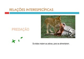 RELAÇÕES INTERESPECÍFICAS




 PREDAÇÃO


             Os leões matam as zebras, para se alimentarem.
 