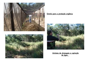 Sistema de drenagem e captação
de água
Estufa para a produção orgânica
 