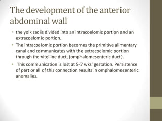 The development of the anterior
abdominal wall
• the yolk sac is divided into an intracoelomic portion and an
extracoelomic portion.
• The intracoelomic portion becomes the primitive alimentary
canal and communicates with the extracoelomic portion
through the vitelline duct, (omphalomesenteric duct).
• This communication is lost at 5-7 wks' gestation. Persistence
of part or all of this connection results in omphalomesenteric
anomalies.
 