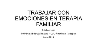 TRABAJAR CON
EMOCIONES EN TERAPIA
FAMILIAR
Esteban	
  Laso	
  
Universidad	
  de	
  Guadalajara	
  –	
  CUCI	
  /	
  Ins8tuto	
  Tzapopan	
  
Junio	
  2013	
  
 