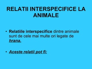 RELATII INTERSPECIFICE LA ANIMALE ,[object Object],[object Object]