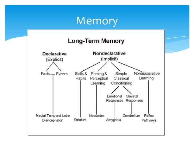 Relational learning and amnesia