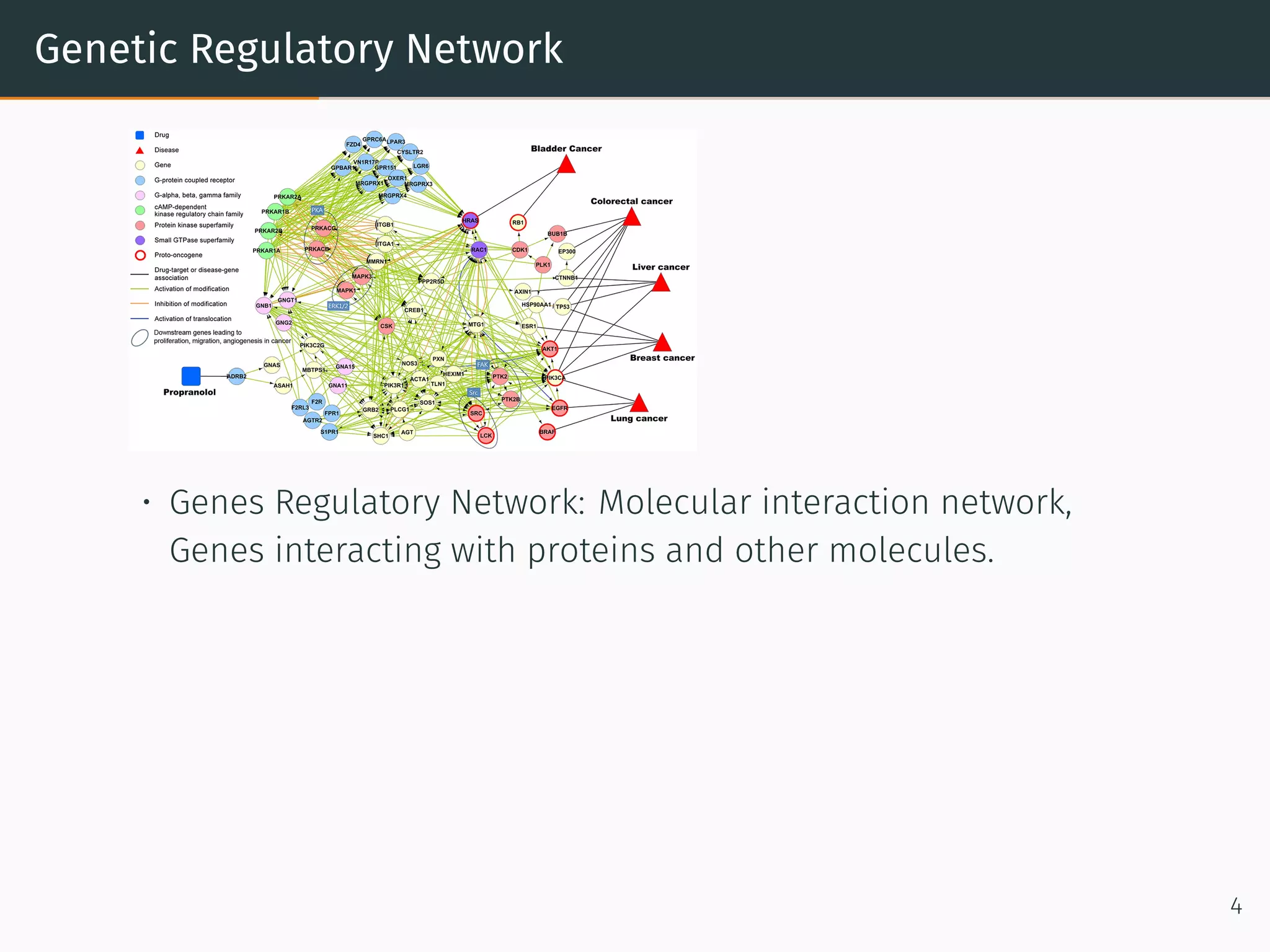 Genetic Regulatory Network
• Genes Regulatory Network: Molecular interaction network,
Genes interacting with proteins and other molecules.
4
 