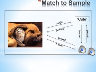 *
“Cute”
derived
derived
 