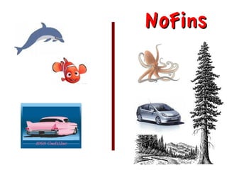 NoFins
 