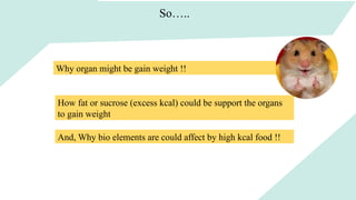 So…..
Why organ might be gain weight !!
How fat or sucrose (excess kcal) could be support the organs
to gain weight
And, Why bio elements are could affect by high kcal food !!
 