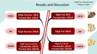 Results and Discussion
High Fat -Sucrose and
Organs weight
HSB HFB
HS HF
IHSB IHFB
High Sucrose -2h/d
Normal diet -22h/d
High Sucrose 24h/d
High Sucrose 2h/3d
+Normal diet -22h/3d
Normal diet-24h/4d
High Fat-2h/d
Normal diet -22h/d
High Fat 24h/d
High Fat 2h/3d
+Normal diet -22h/3d
Normal diet-24h/4d
 