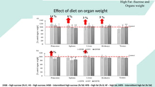 Effect of diet on organ weight
High Fat -Sucrose and
Organs weight
14 % 9 % 3 % 5 %
11 % 7 %
(HSB – high sucrose 2h/d ; HS – high sucrose; IHSB – intermittent high sucrose 2h/3d; HFB – high fat 2h/d; HF – high fat; IHFB – intermittent high fat 2h/3d)
 