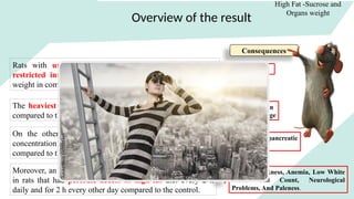 Overview of the result
High Fat -Sucrose and
Organs weight
Rats with unlimited access to high fat diet (HF) and
restricted intake of high sugar diet have elevated body
weight in comparison to the control.
Obesity
The heaviest organ weights were recorded in the HSB rats
compared to the control group.
Chronic organ
disease/damage
On the other hand, an average 20 % decrease in zinc
concentration was observed in rats fed with high-fat diet
compared to the control
Can destroy pancreatic
beta cells
Moreover, an 18 % decrease in copper levels was observed
in rats that had periodic access to high-fat diet every 2 h
daily and for 2 h every other day compared to the control.
Muscle Weakness, Anemia, Low White
Blood Cell Count, Neurological
Problems, And Paleness.
Consequences
 