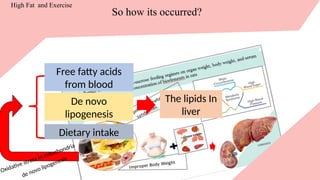 Oxidative stress in mitochondria
de novo lipogenesis
The lipids In
liver
Free fatty acids
from blood
De novo
lipogenesis
Dietary intake
So how its occurred?
High Fat and Exercise
 