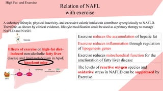 Relation of NAFL
with exercise
A sedentary lifestyle, physical inactivity, and excessive caloric intake can contribute synergistically to NAFLD.
Therefore, as shown by clinical evidence, lifestyle modification could be used as a primary therapy to manage
NAFLD and NASH.
Exercise reduces the accumulation of hepatic fat
Exercise reduces inflammation through regulation
of lipogenesis genes
Exercise reduces mitochondrial function for the
amelioration of fatty liver disease
The levels of reactive oxygen species and
oxidative stress in NAFLD can be suppressed by
Exercise
High Fat and Exercise
Effects of exercise on high fat diet–
‑
induced non alcoholic
‑ fatty liver
disease and lipid metabolism in ApoE
knockout mice
 